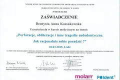 certyfikat_kossakowska_Scan0002-5-1024x744-1